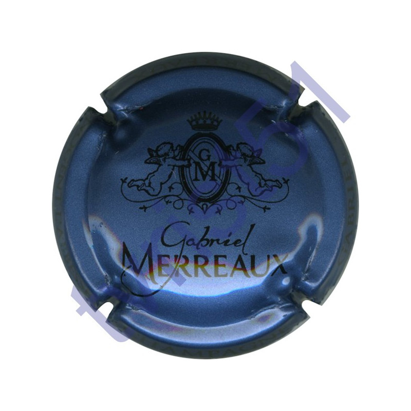 MERREAUX Gabriel n°09 bleu métallisé et noir