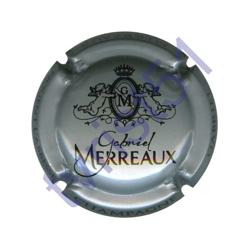 MERREAUX Gabriel n°06 argent et noir