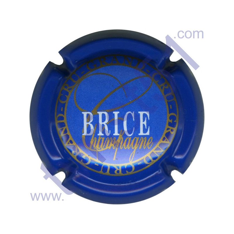 BRICE n°13 contour bleu