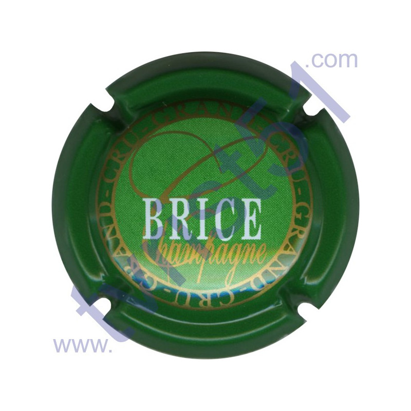 BRICE n°14 contour vert