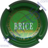 BRICE n°14 contour vert