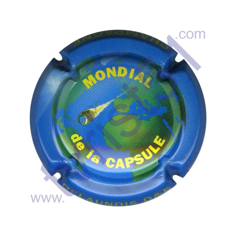 MONDIAL 2008 n°10 DELAUNOIS