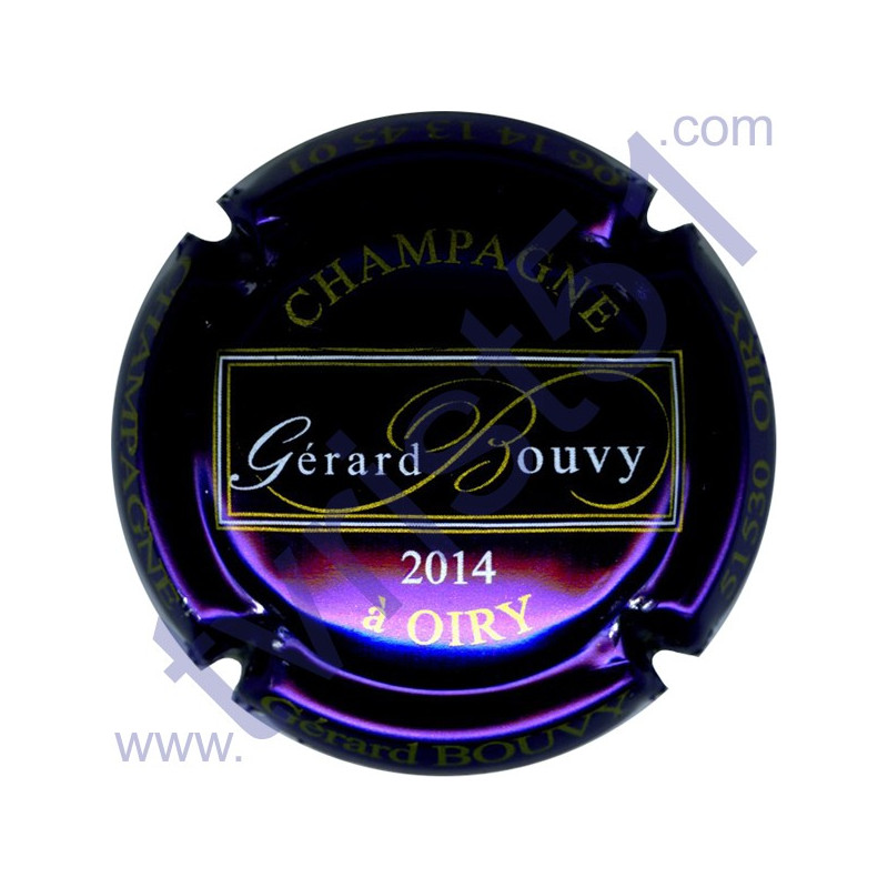 BOUVY Gérard : fond violet métallisé 2014