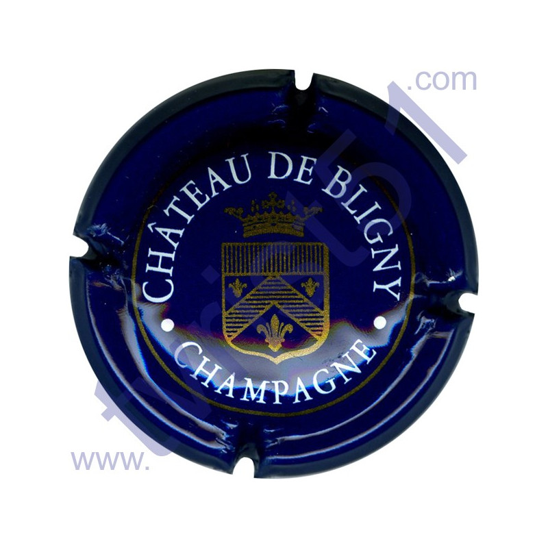 CHATEAU DE BLIGNY n°04c bleu nuit