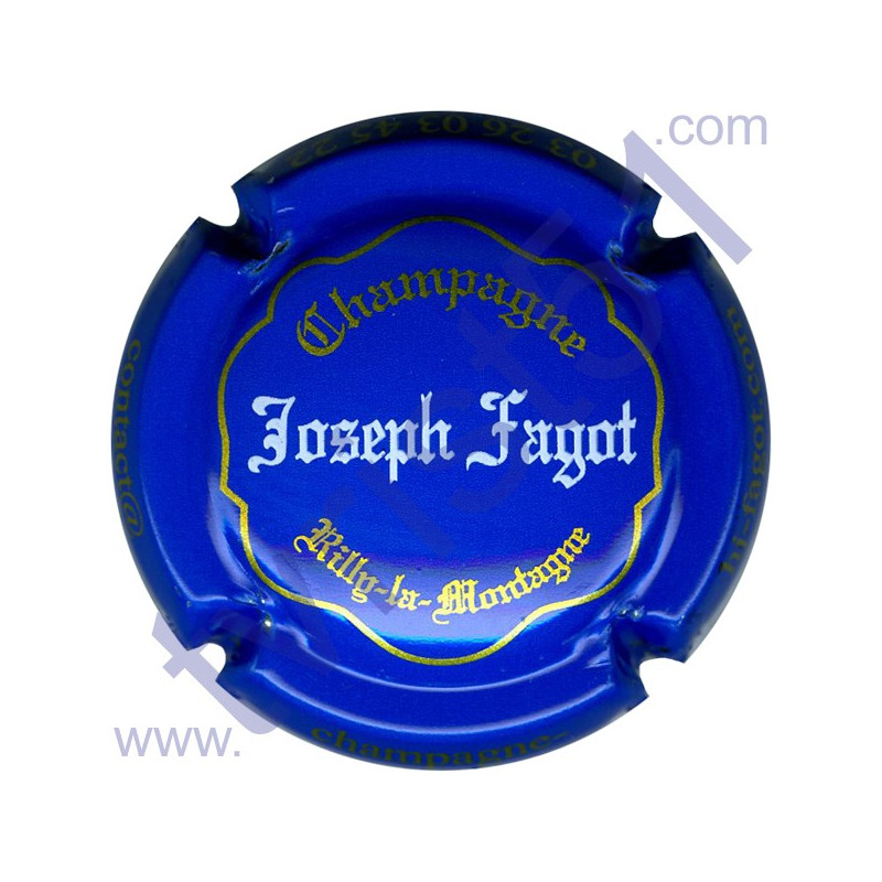 FAGOT Joseph n°20 bleu