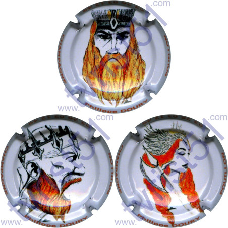 DOURY Philippe : Les Vikings