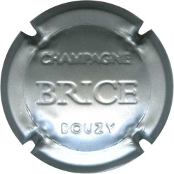 BRICE n°20d estampée gris