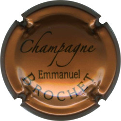 BROCHET Emmanuel n°01e marron clair et noir