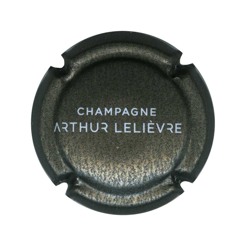 LELIEVRE Arthur : anthracite et blanc