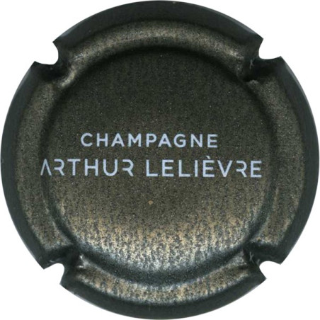 LELIEVRE Arthur : anthracite et blanc