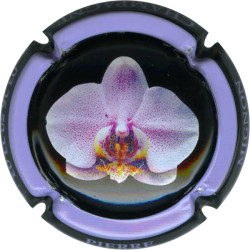 MIGNON Pierre n°52 Orchidée...