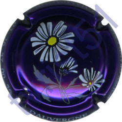 DAUVERGNE n°04e violet métallisé