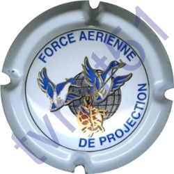 DELOUVIN-MOREAU : Force Aérienne de Projection