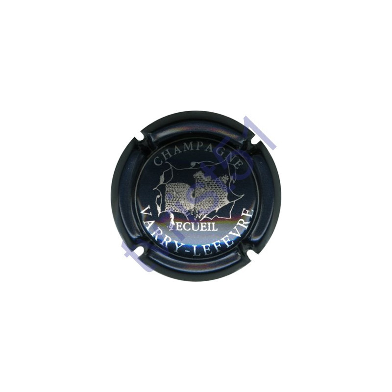 VARRY-LEFEVRE n°02 bleu métallisé et argent