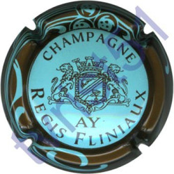 FLINIAUX Régis n°23 bleu pâle contour marron